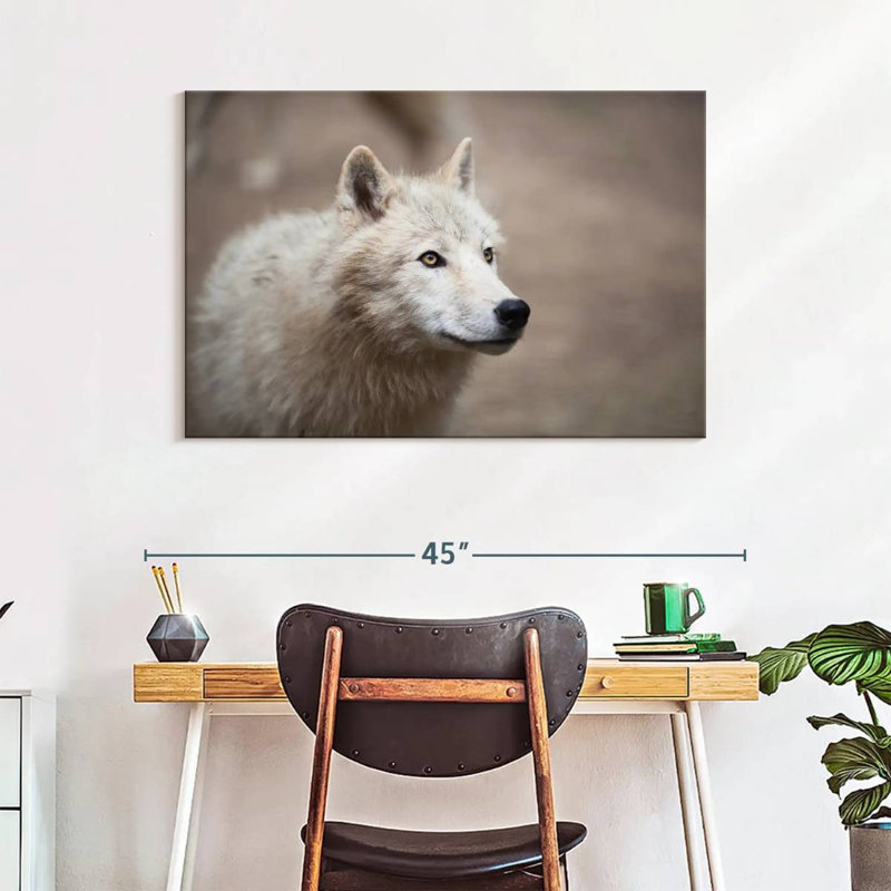 Loup blanc arctique, H 26 po x l 39 po