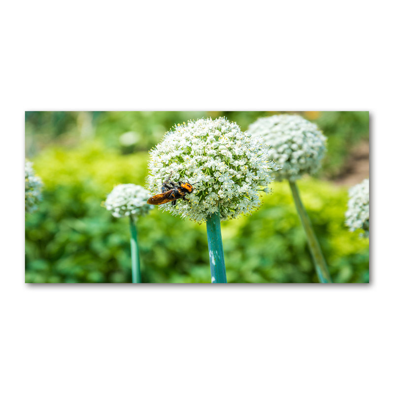 Blooming Garlic - Print, Glass, 70cm H x 100cm W x 4cm D