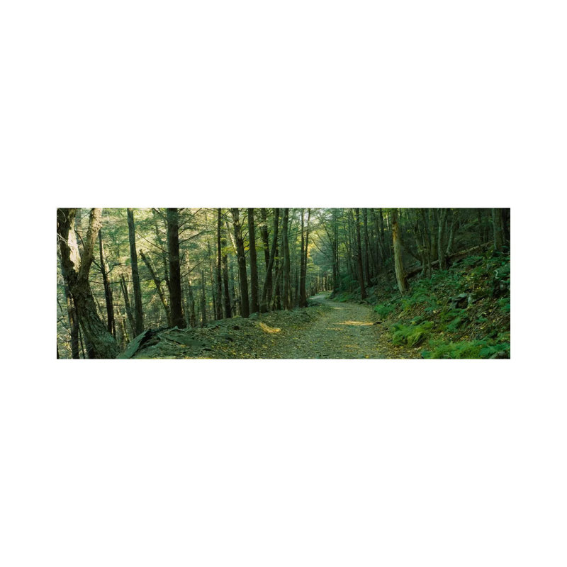 Trees In A National Park, Shenandoah National Park, Virginia, USA - Wrapped Canvas Panoramic Print