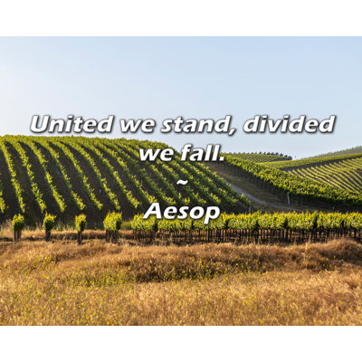 Aesop Quote: United we stand, divided we fall.