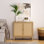 Allisandra Accent Cabinet