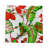 Plumeria Cotton Sateen Cocktail Napkins-122609875