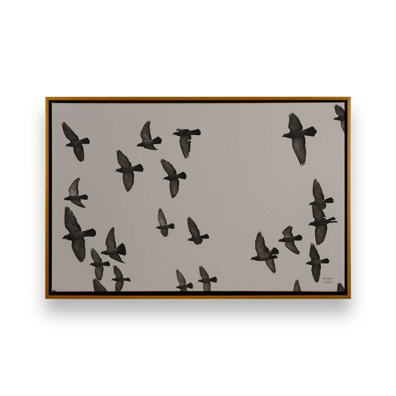 «Flock I» par Nathan Larson, reproduction d'art sur toile, H 12 po x l 18 po, Cadre flottant, Doré