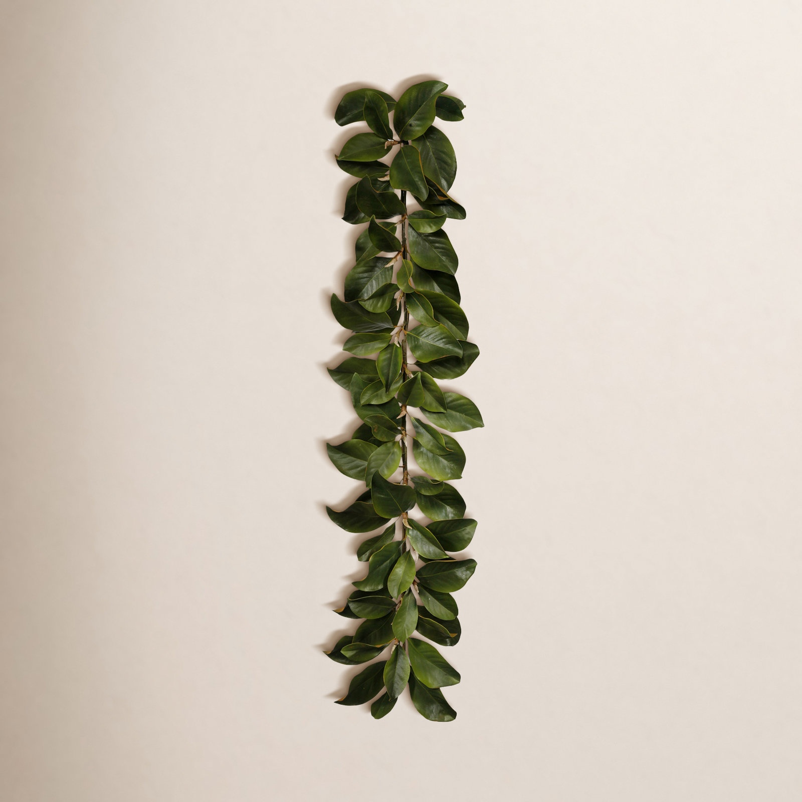 Magnolia 60'' in. Garland