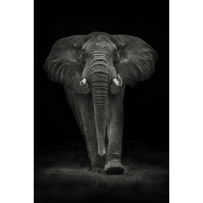 Wrapped Canvas Print, 50.8 cm H x 76.2 cm W