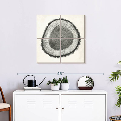 Tree Ring II