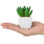 8.3cm Faux Succulent Plant in Ceramic Planter