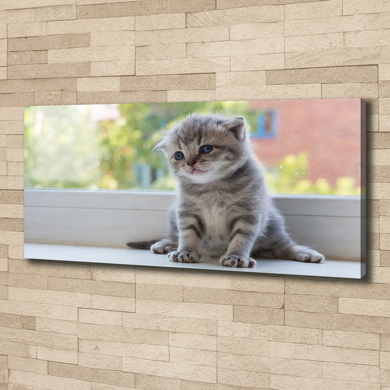A Small Cat By The Window - No Frame Print on Glass, Glass, 70cm H x 100cm W x 4cm D