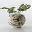Kahler Table Vase