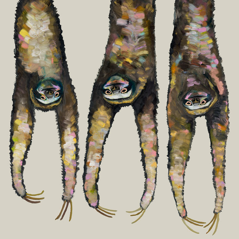 Accrochage sloths-impression sur toile tendue