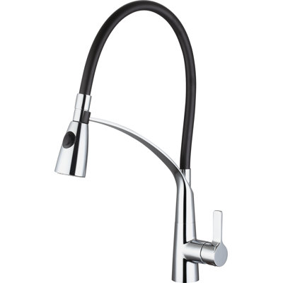 Ancona Pull Down Kitchen Faucet