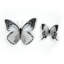 Embellissements papillons noirs et blancs