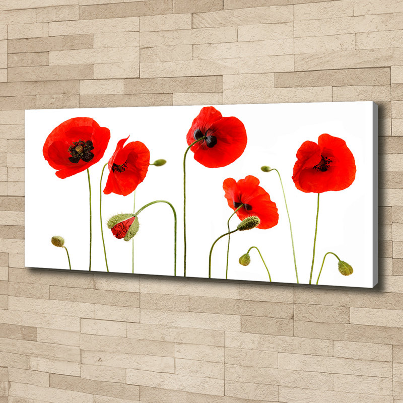 Maki - Wrapped Canvas Print