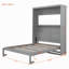 Lit escamotable mural avec tablettes Murphy-1065273778-1065273679