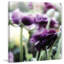 Floral Melody II by Irena Orlov - Wrapped Canvas Print-1126242030