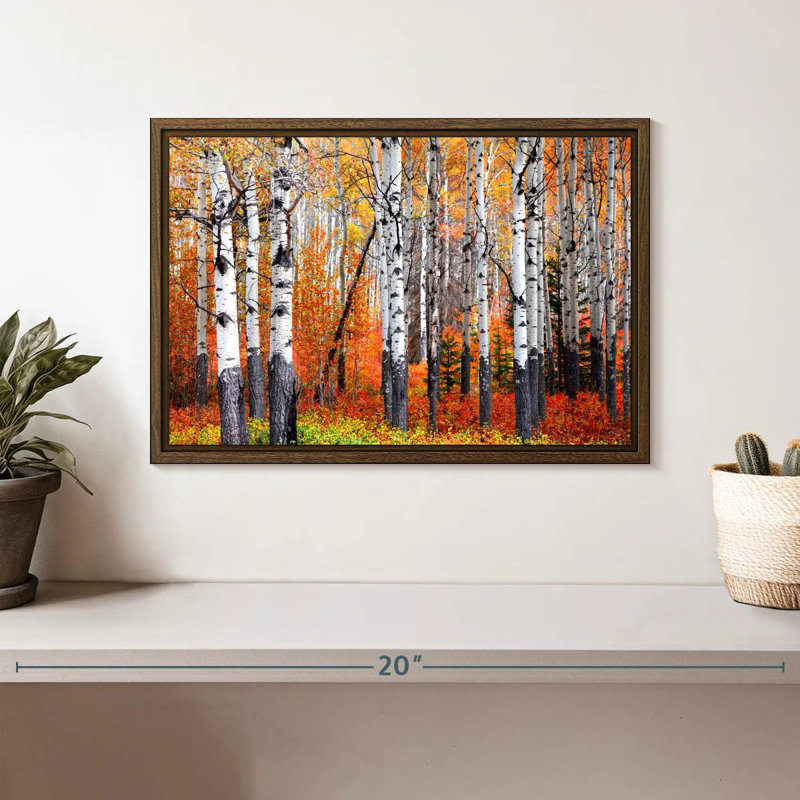 Forêt de trembles de Banff, 13 po x 9 po, Cadre flottant noyer