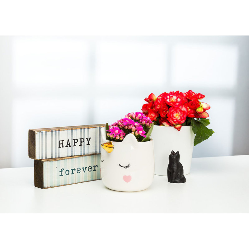Ceramic Pot Planter