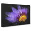 Purple Water Lily - Wrapped Canvas Painting-56647369