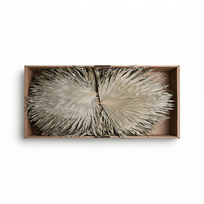 Chain Palm Leaves 50Pc Tray