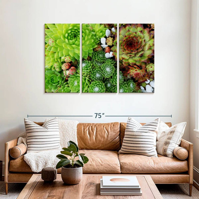 Harnek Succulent Varieties, 36" H x 57" W