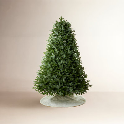 Pre-lit Fraser Fir Christmas Tree