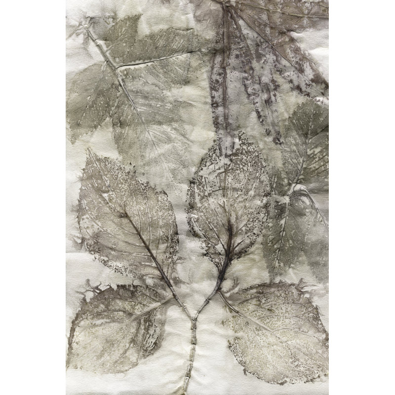 Multi Leaves II by Kathryn Phillips - Wrapped Canvas Painting, 30cm H x 20cm W x 3.8cm D