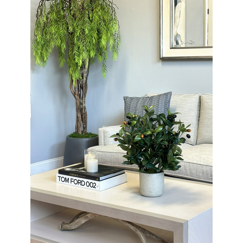 Faux Olive Tree Plant in Fiberstone Pot