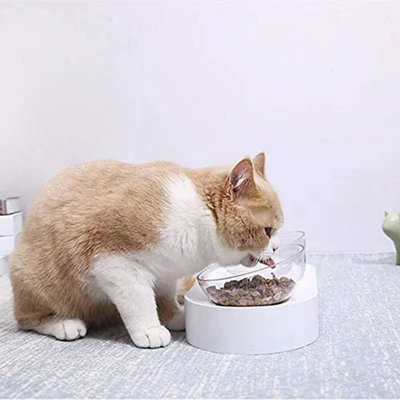 Bol pour chat Petkit Fresh Nano