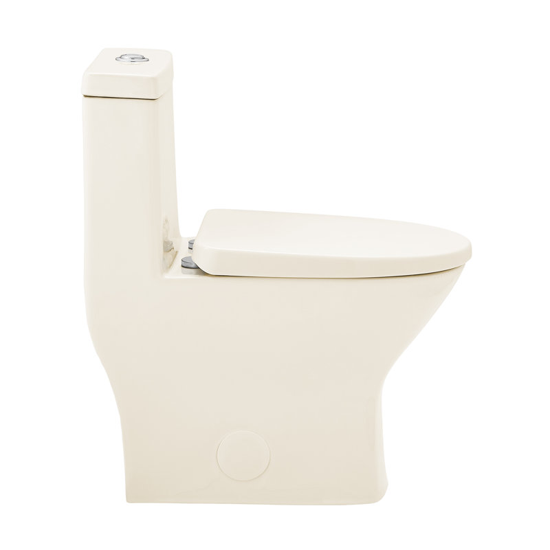 Toilette ronde à double chasse 1,1 / 1,6 GPF une pièce à finition brute en bisque lustrée 10 pièces Mackenzie