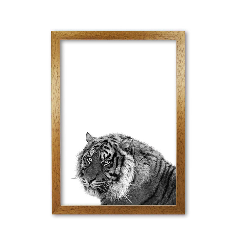 Tiger - Print, Honey Oak Frame, 42 cm H x 30 cm W x 5 cm D