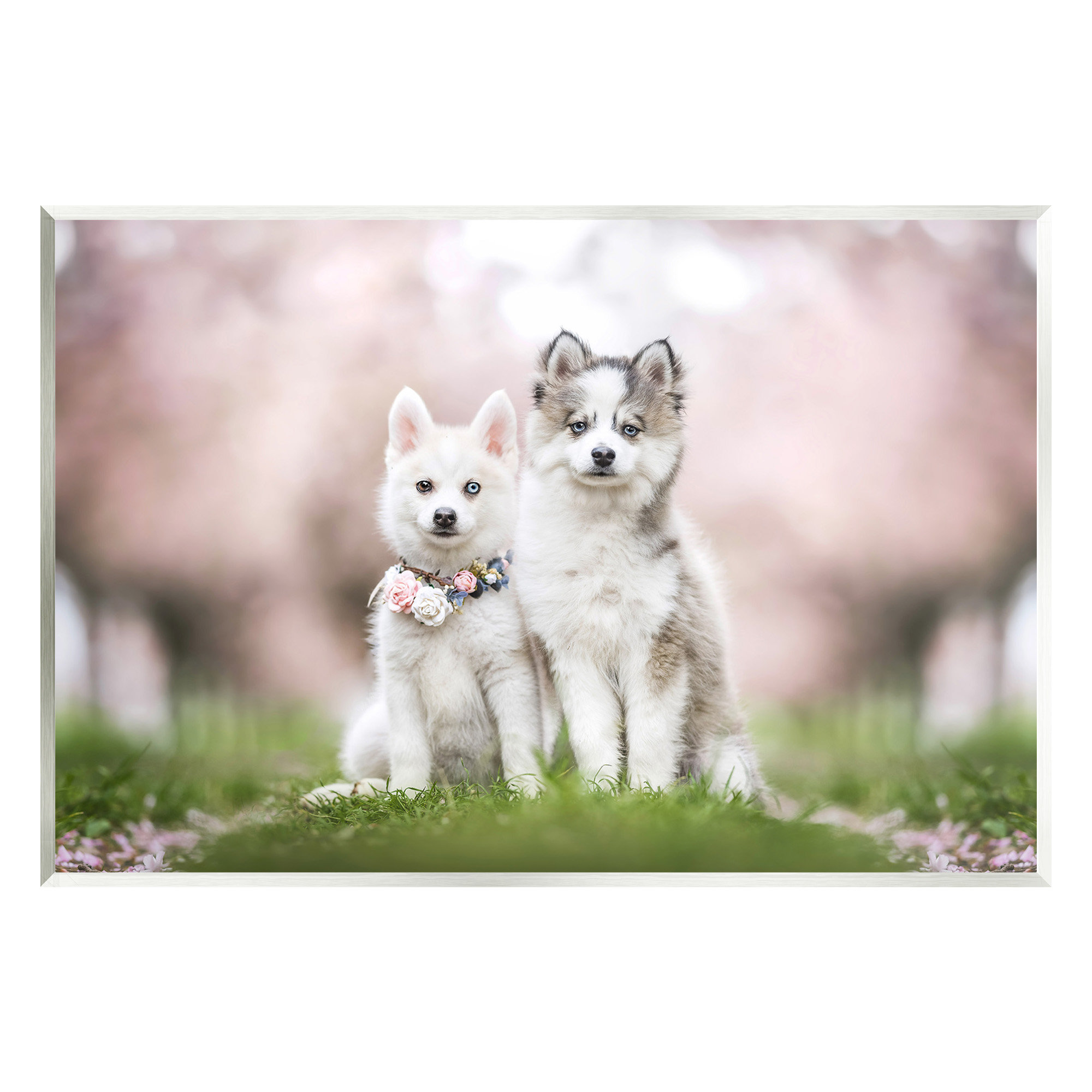 Winston Porter Husky Puppies in Meadow Wall Plaque Art by Natalie