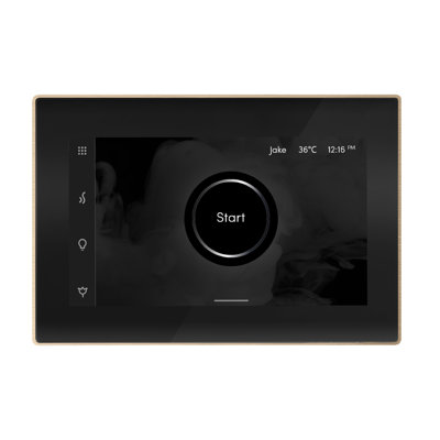 iSteamX Steam Shower Control and Steamhead