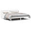 Chaudeville Solid Wood Storage Bed-15348988