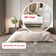 Loni Solid Machine Washable Accent Shag Rug for Living Room Bedroom Dining Room Nursery Entryway