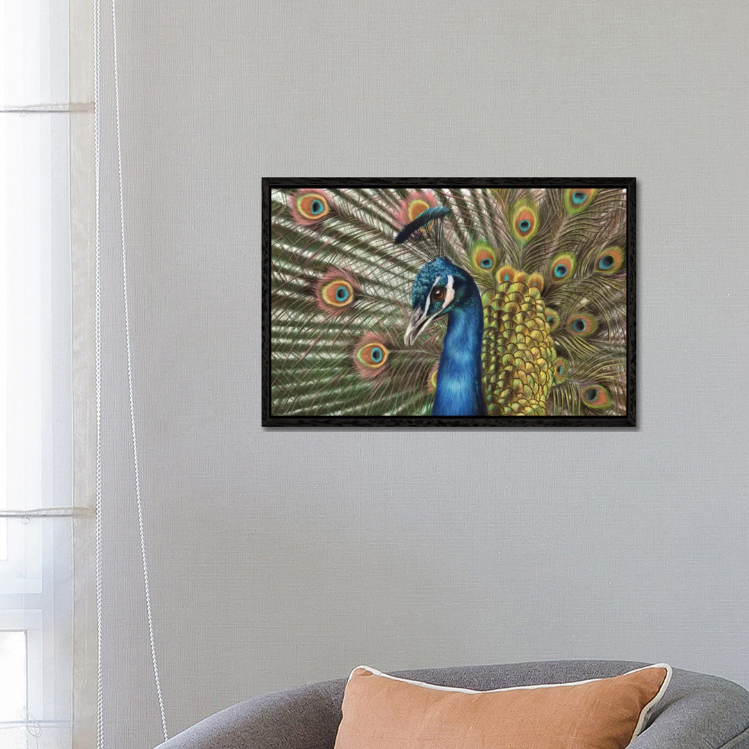 Pfau von Richard Macwee - Galerie-verpackte Leinwand GiclÃ©e auf Leinwand