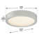 Hilmar Glass LED Flush Mount
