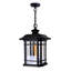 Rigdon Modern Outdoor 1-Light Pendant for Patio, Garden, and Backyard