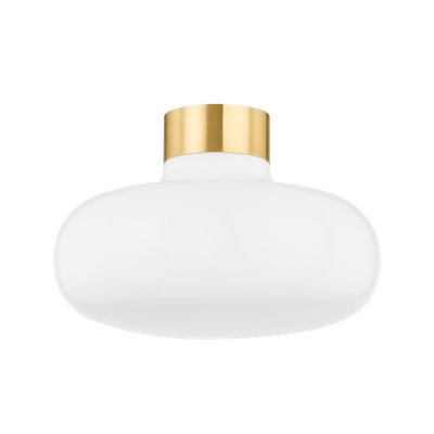 Eliana 1 Light Flush Mount