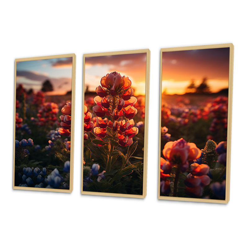 «Red Bonnets Field with Orange Sunset - Blue Bonnets», ensemble d'art mural, H 28 po x l 36 po x P 1 po