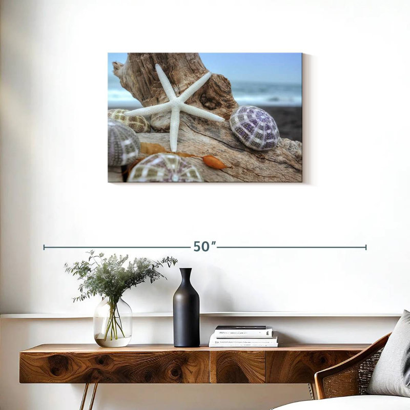 White crescent beach shells vii Aletra, H 20 po x l 30 po