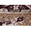Tapis oriental ivoire Oriental