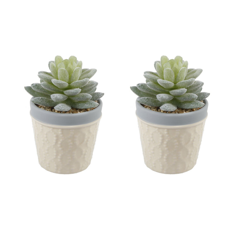 4.5'' Faux Succulent Plant, Yellow