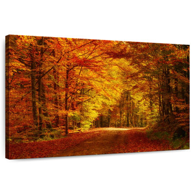 Alvord Forest Autumn Trees