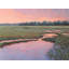 Peaceful Marsh Print by Diana Johnson