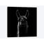 « llama », impression sur toile-29172288-72803164-72803173