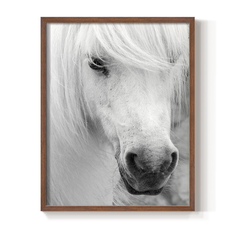 «Island Pony I», reproduction encadrée - bois massif, H 28 po x l 22 po, Brun