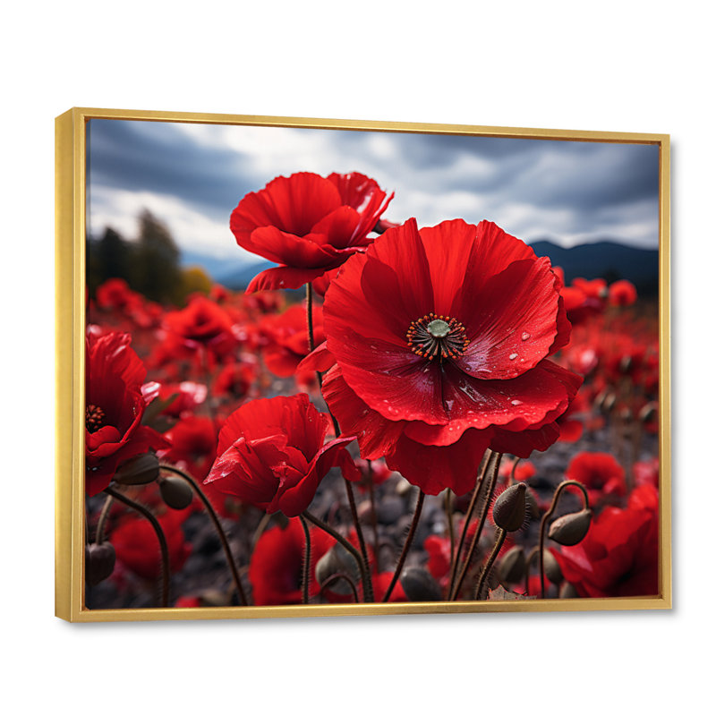 Flower Field Crimson Poppies - Floral Wall Art Prints, 24" H x 32" W, Cadre flottant doré