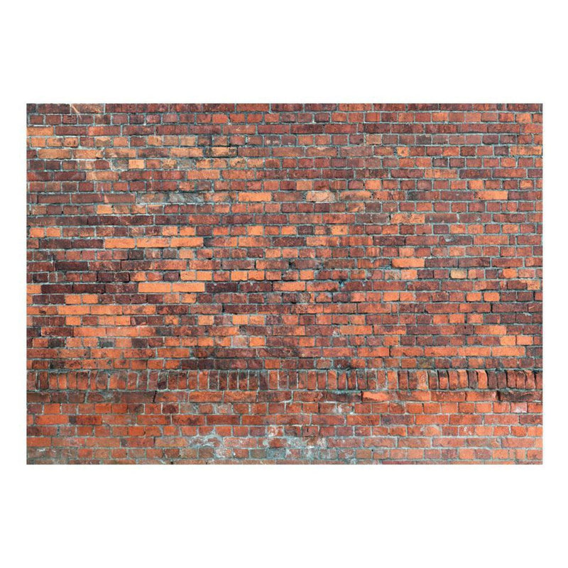 Danaiya Brick Wall Mural, 110" L x 157" W