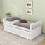 Lit plateforme simple avec lit gigogne et tiroirs-2049905468