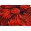 Tapis à motif floral rouge Kunzler-349811047